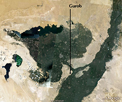 Click for hi-res image - Gurob Satellite photo of the Fayum are